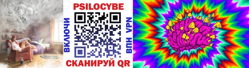 это наркотические препараты  Усть-Илимск  Галлюциногенные грибы прущие грибы  купить  
